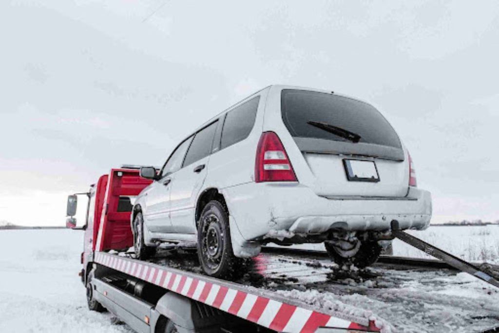 Loading Assistance at the Auction Lot (1)
